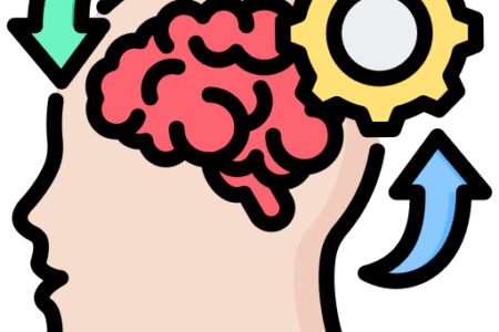 Image of a brain for Stroke Physiotherapy- Blue Space Clinic Physiotherapy Clinic