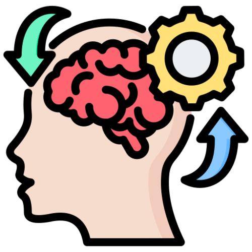 Image of a brain for Stroke Physiotherapy- Blue Space Clinic Physiotherapy Clinic